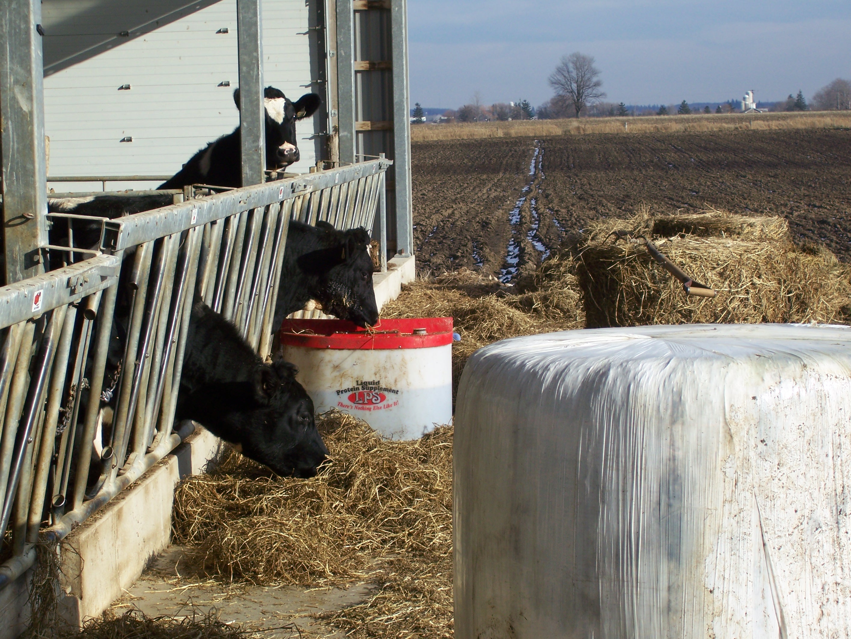 Products Liquid Feeds Inc